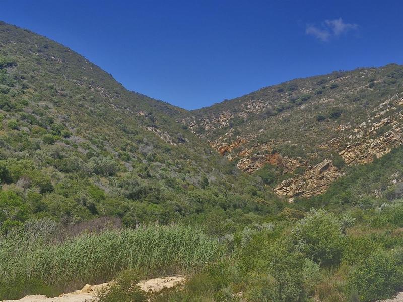 3 Bedroom Property for Sale in Island View Western Cape